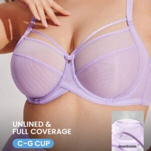Lilac Purple