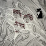 White Embroidery Mesh Bra & Panty Lingerie Set - Bespose